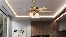 Quạt trần quay ngược, đảo chiều là gì ? ứng dụng ra sao ?